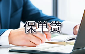 自贡保单贷